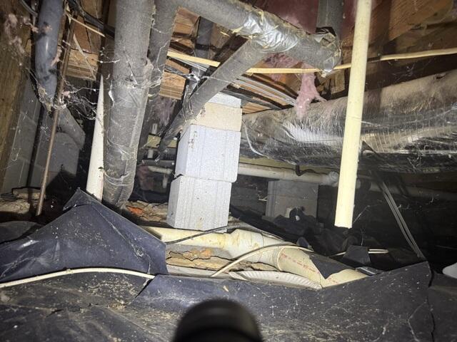 A Dirty, Damp Crawl Space is Uninsulated and Damaging to Your Home