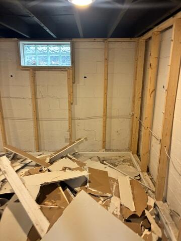 Finished Basement Demolition