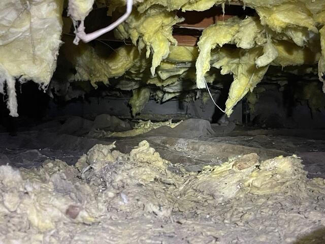 Very Dirty Crawl Space