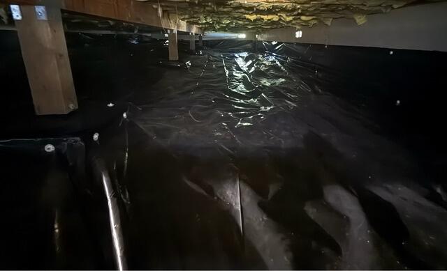 Waterproofed Crawl Space!