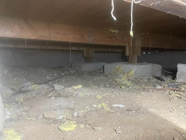 Debris
