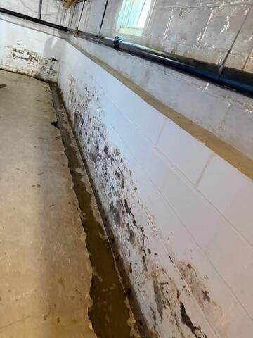 Trench Line
