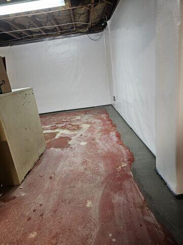 Drainage System