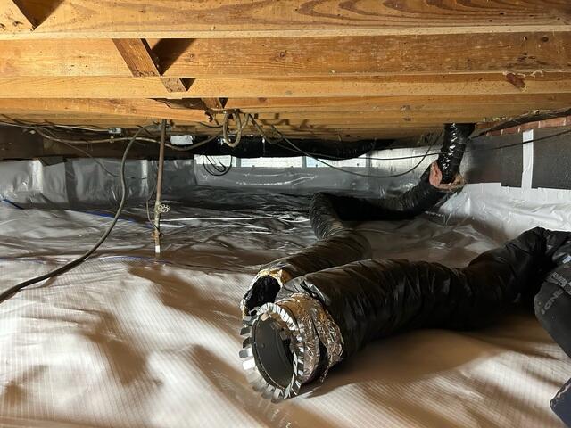 Crawl Space After