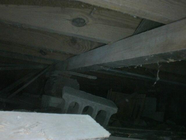 Crawl Space Inspection