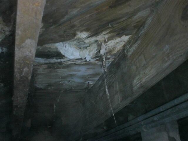 Crawl Space Moisture Damage