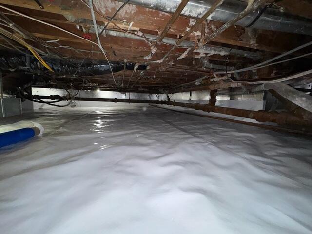 CleanSpace