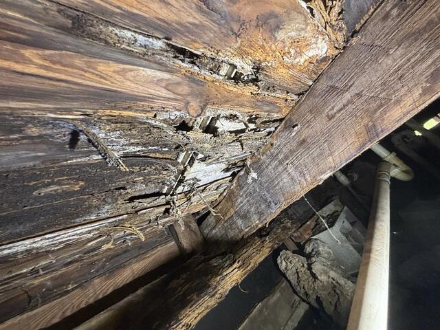 Floor Joist & Subfloor Damage