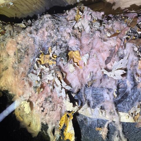 Degenerating Insulation