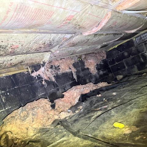Unhealthy Crawl Space