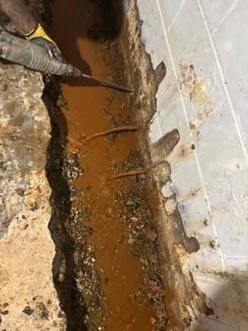 Trench Line