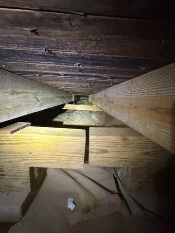 Mold on Wood Floor Joists