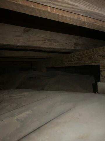 After Mold Treatment