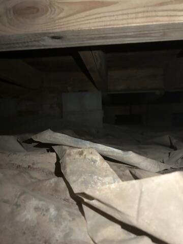 Floor Joists