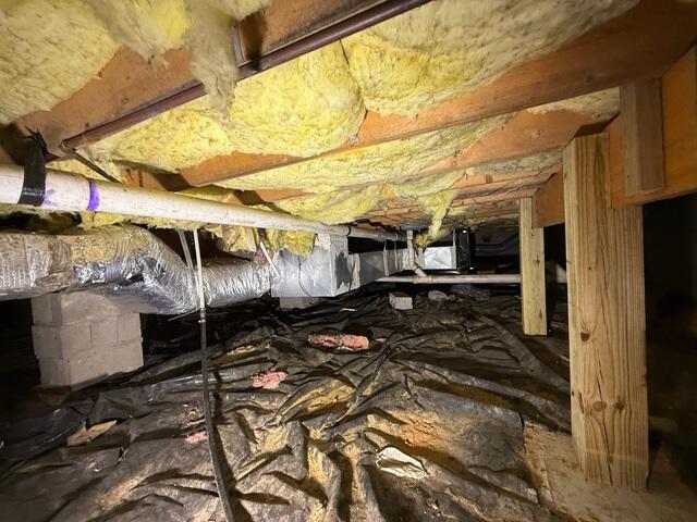 Crawl Space Before
