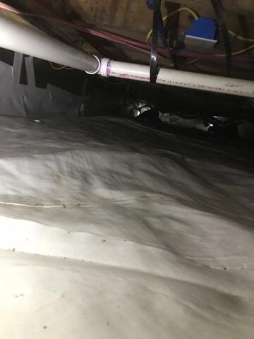 CleanSpace Moisture Barrier