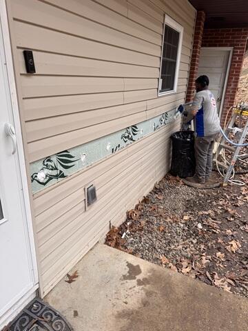 Vinyl Exterior Walls