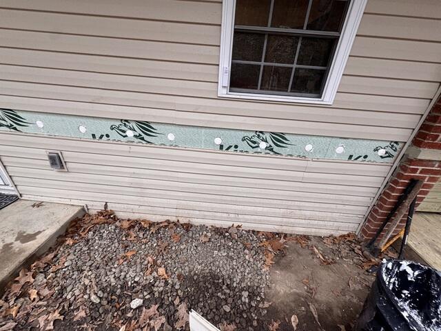 Vinyl Exterior Walls