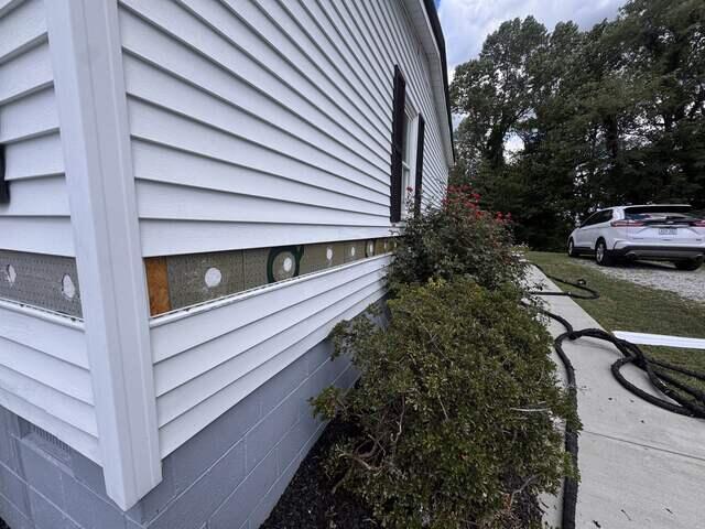 Vinyl Walls