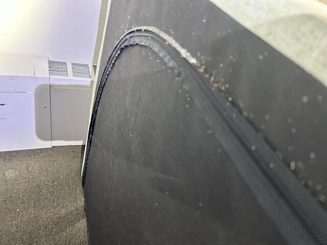 Time to Treat for the Bed Bugs