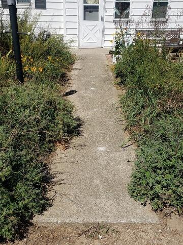 Concrete Leveling