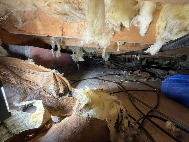 Falling Crawl Space Insulation