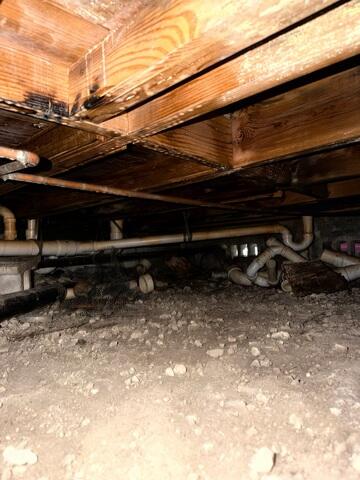 Crawl Space Moisture Damage
