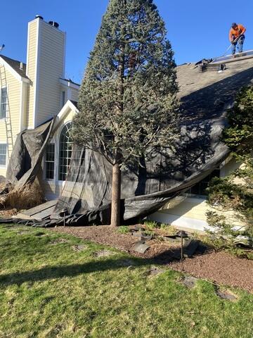 Tear-Off With Care