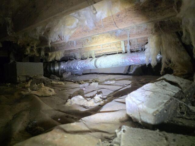 Moldy, damp crawl space