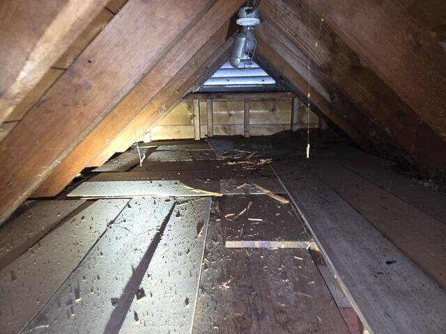 Attic Insulation Problems