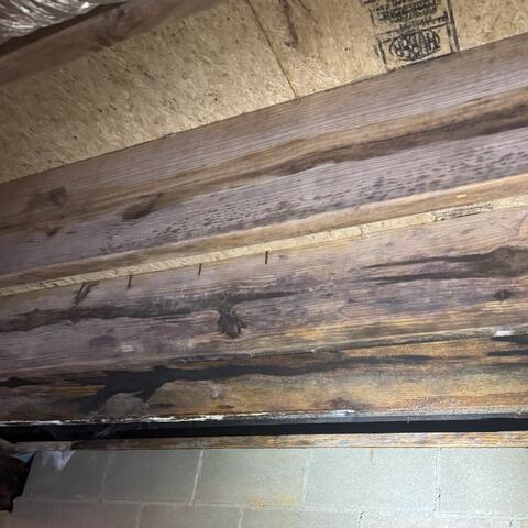 Not only was there potential damage to the foundation from pooling water, but over time, the moisture building up in the crawl space could begin impacting other elements like the wooden beams and joists. Eventually, this would lead to rot and microbial growth.