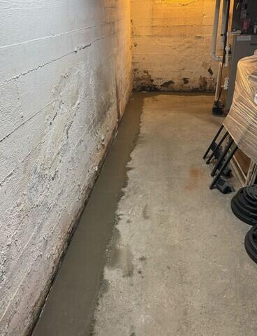 WaterGuard Drainage System