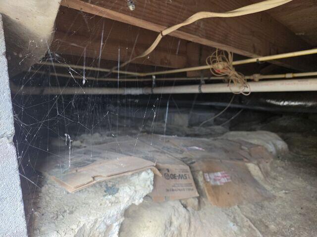 Crawl Space Before