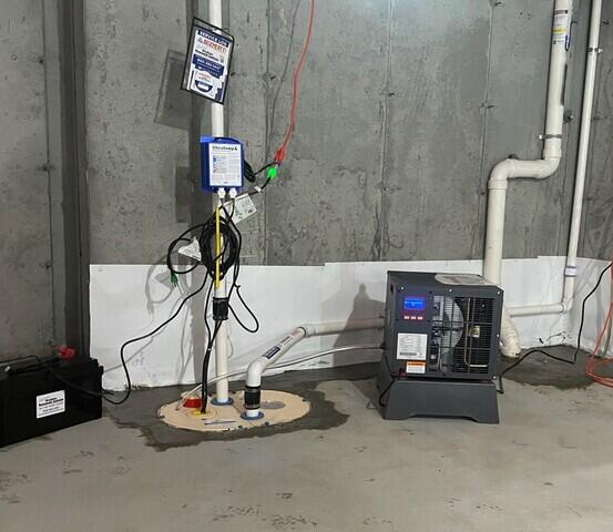 SaniDry Sedona Dehumidifier & TripleSafe Sump Pump
