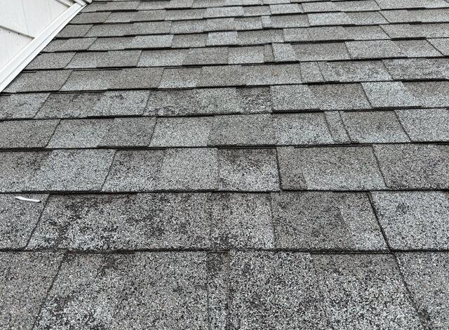 Before Roof