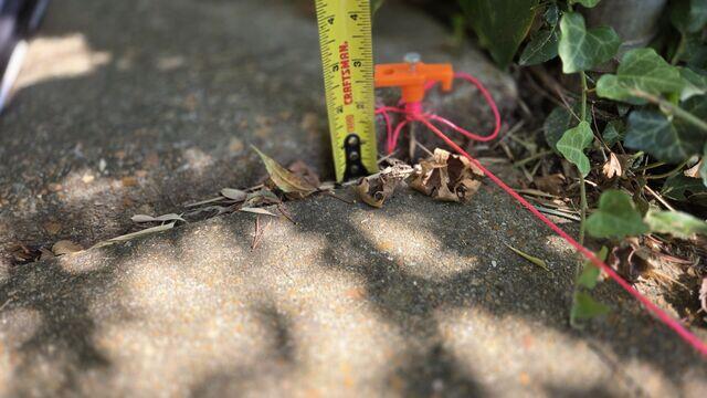 Sunken Concrete Up Close