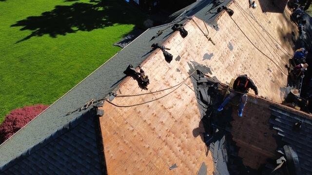 Careful Tear-Off Begins