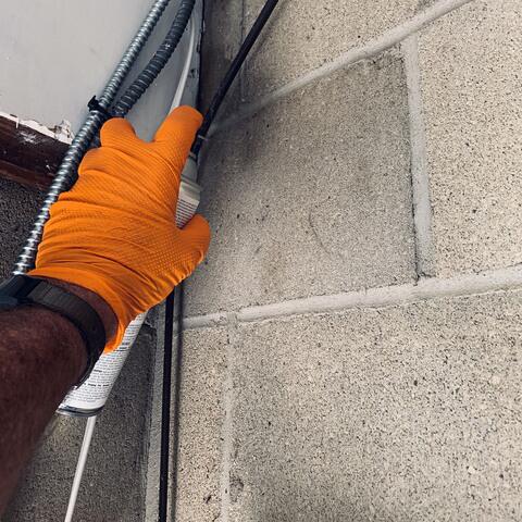 Flushing Out the Carpenter Ants