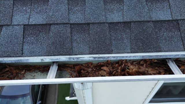 Before Gutter Guards
