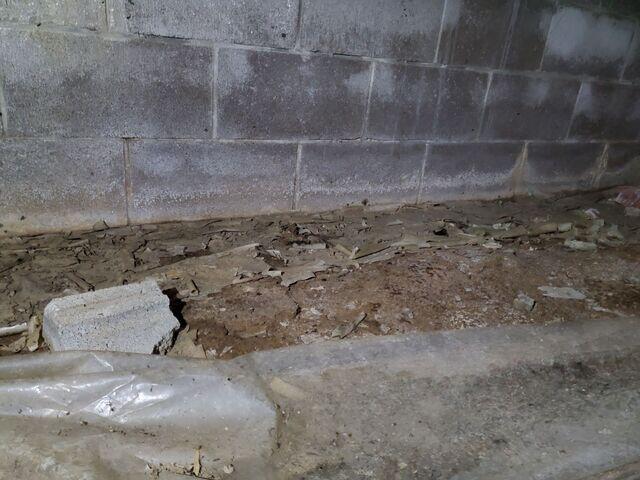 Moisture Issues