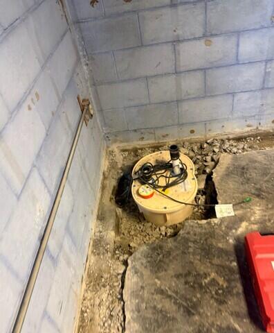 TripleSafe Sump Pump