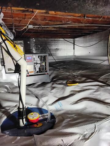 Photo 5: Sump Pump & Dehumidifier
