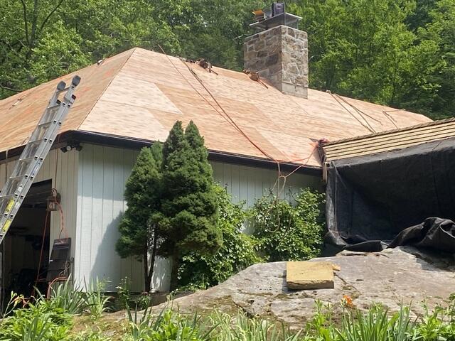 Fresh Plywood Installed