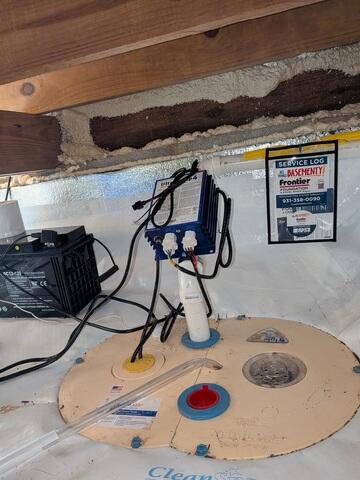 The TripleSafe Sump Pump