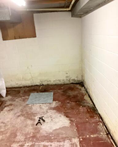 Water-Damaged Basement