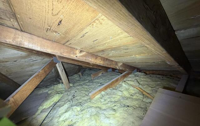 Old Attic Insulation