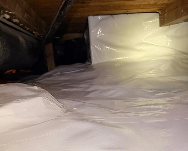 CleanSpace Vapor Barrier
