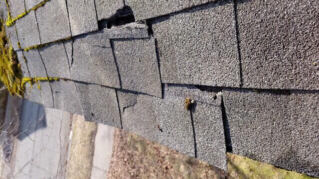Damaged Shingle