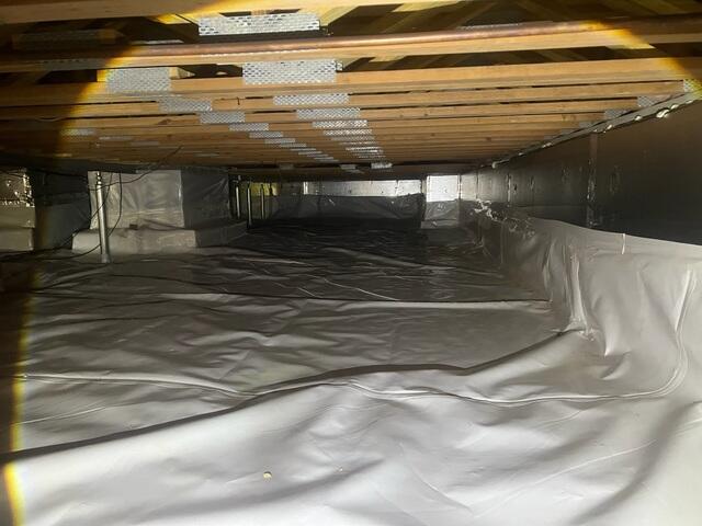 Crawl Space After