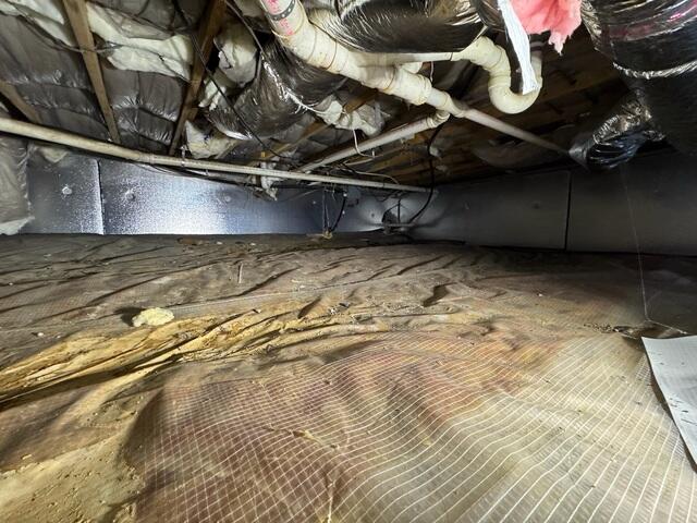 Crawl Space Before